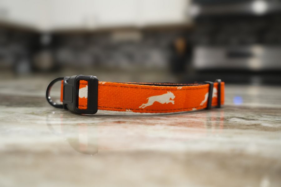 Blaze Orange Collar product image (4)