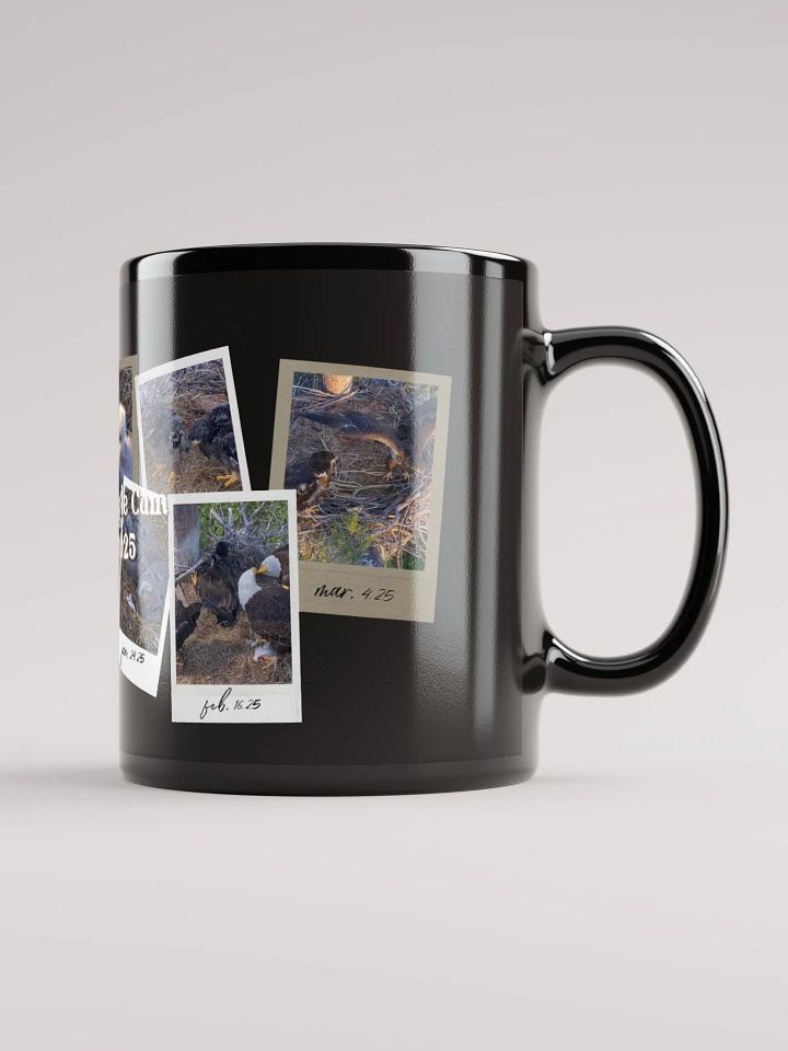 Journey | Black Mug | Captiva Eagle Cam 2024-2025 product image (2)