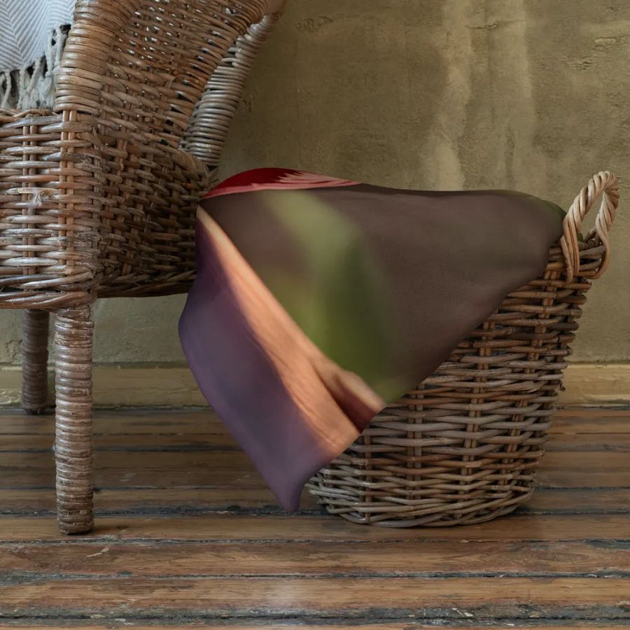 Endangered Species - Mexico - King Vulture Throw Blanket product image (11)