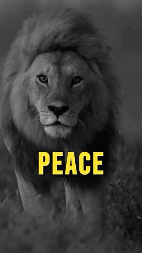 Peace is made in caring and love…

#motivation #motivational #quotes #motivationalquotes #uk #foryou #successmindset #mindset...