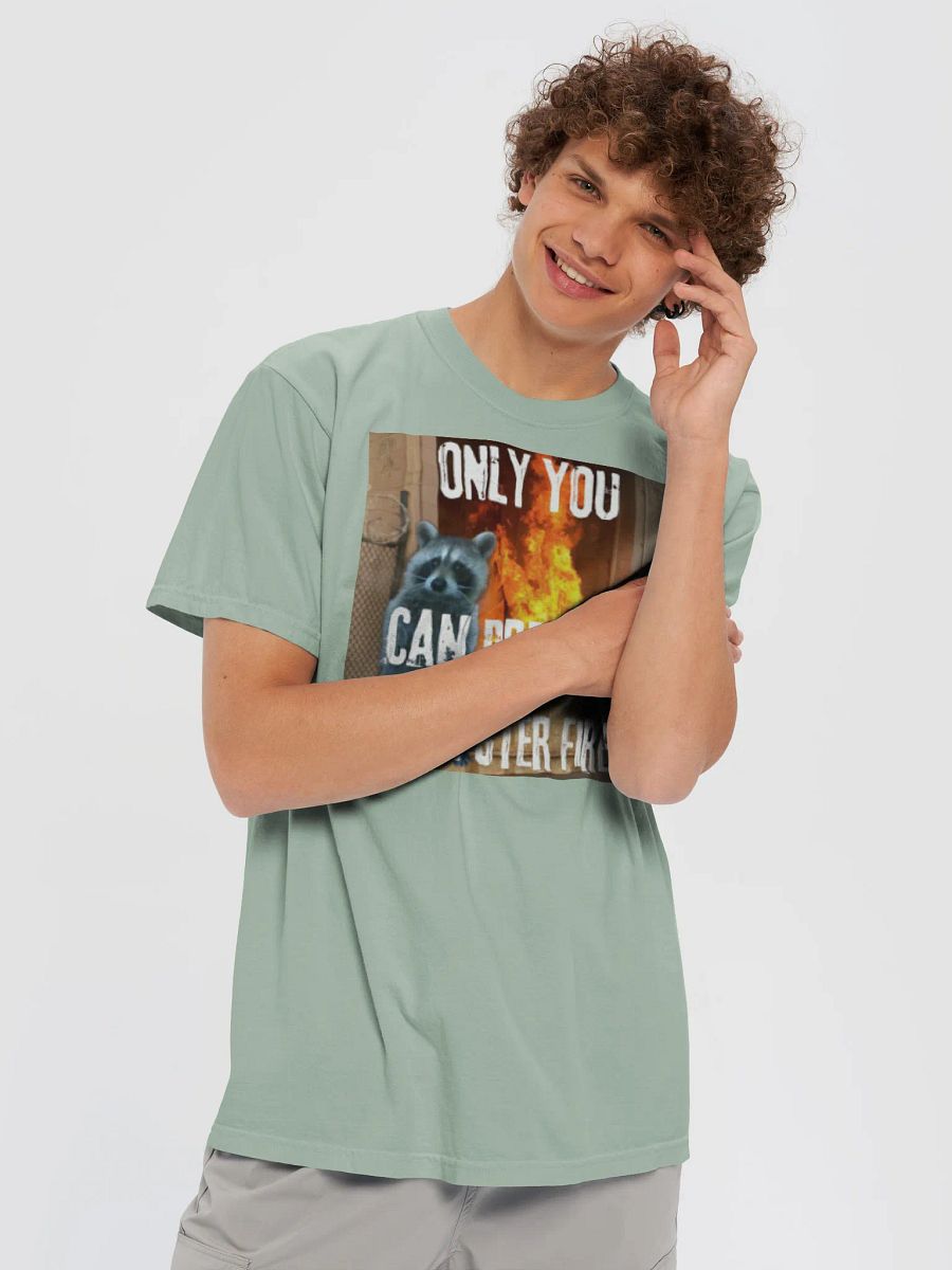 Only You Can Prevent Dumpster Fires T-Shirt product image (54)