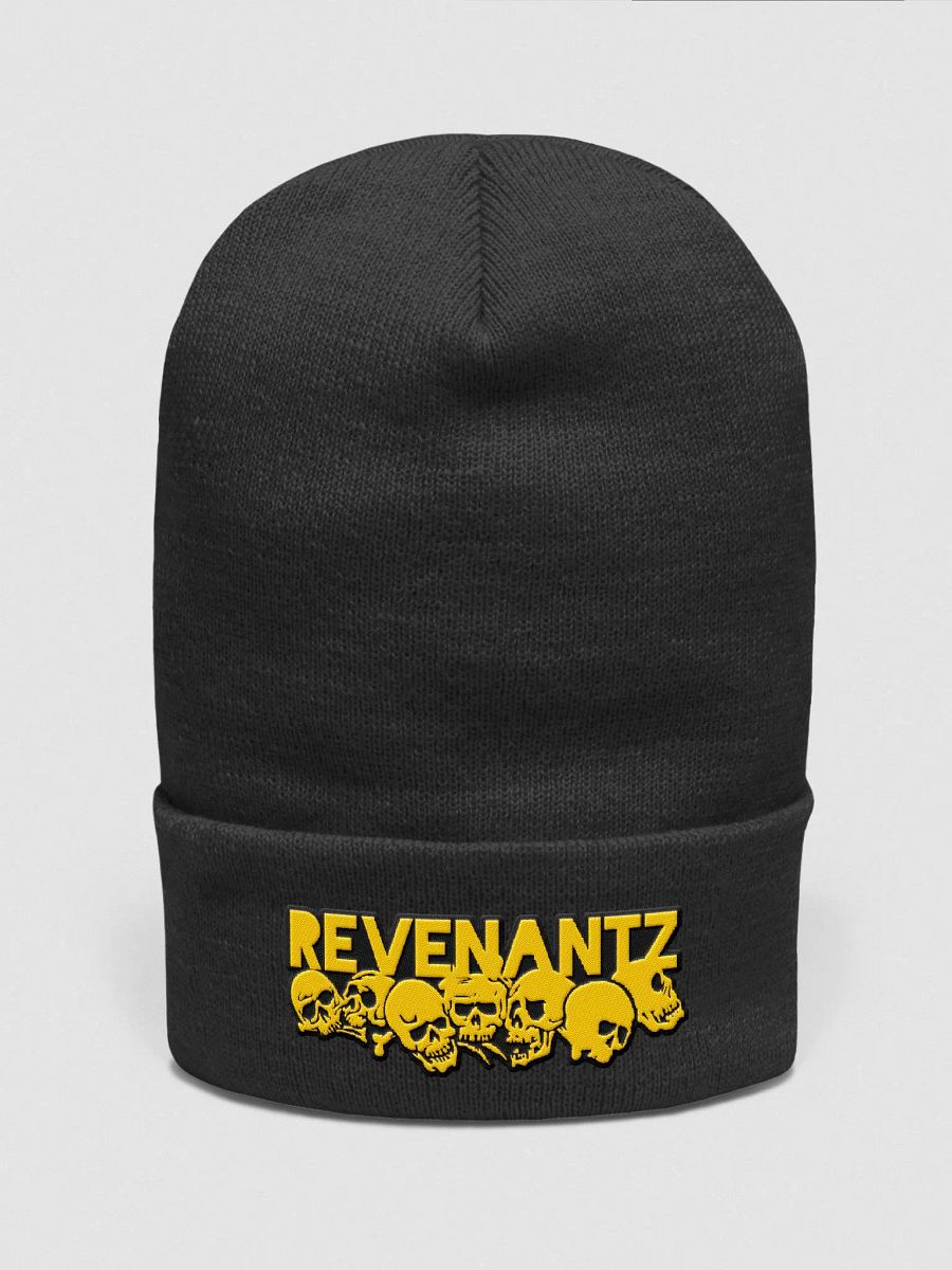 RevenantZ Beanie product image (1)