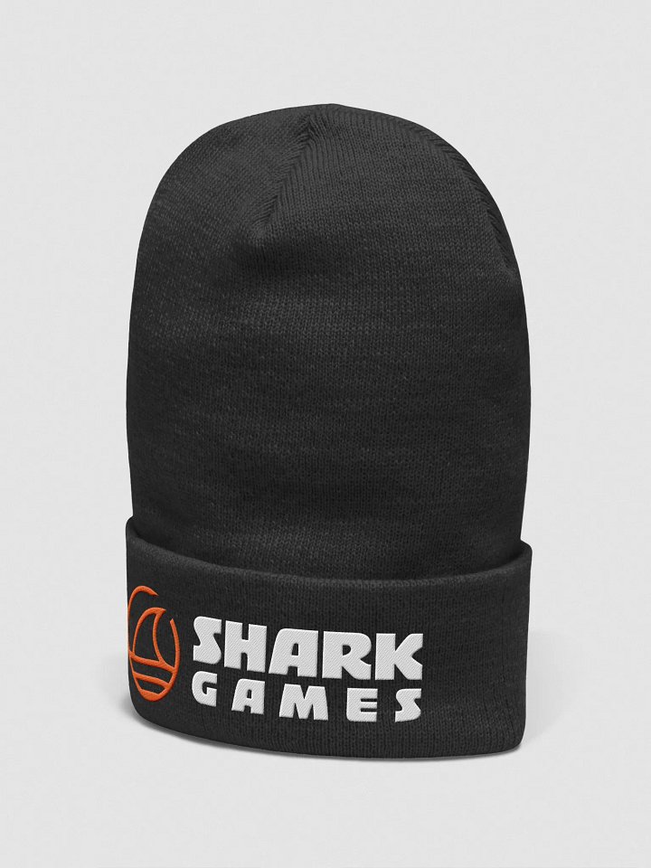 Beanie - Color Logo product image (2)