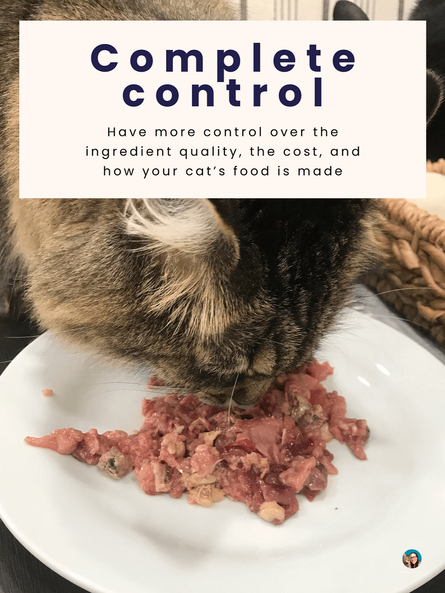 Raw Cat Starter Pack Digital Magazine ~ Simple Raw Feeding Cats PDF Guide with 2 DIY Raw Recipes for Beginners product image (4)