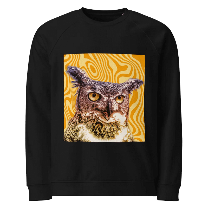 Snazzy Owl Organic Cotton Raglan Sweatshirt