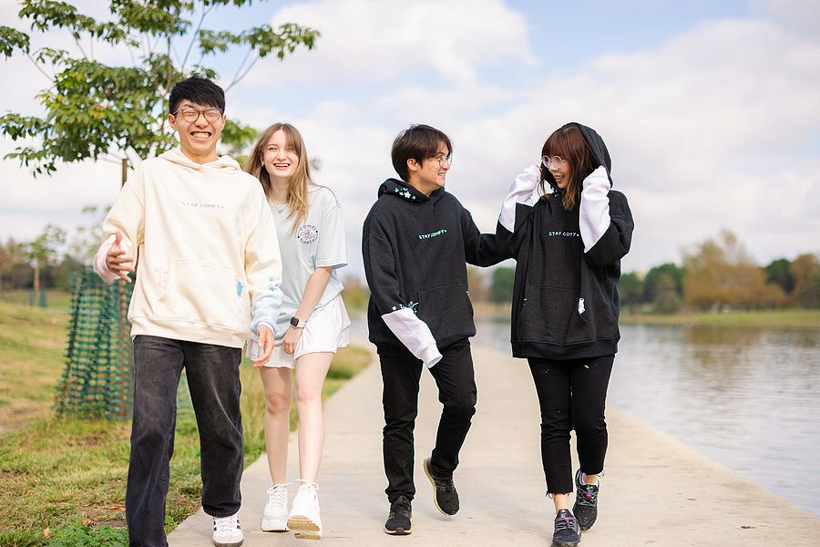 classic doodle hoodie (pre-order) product image (3)