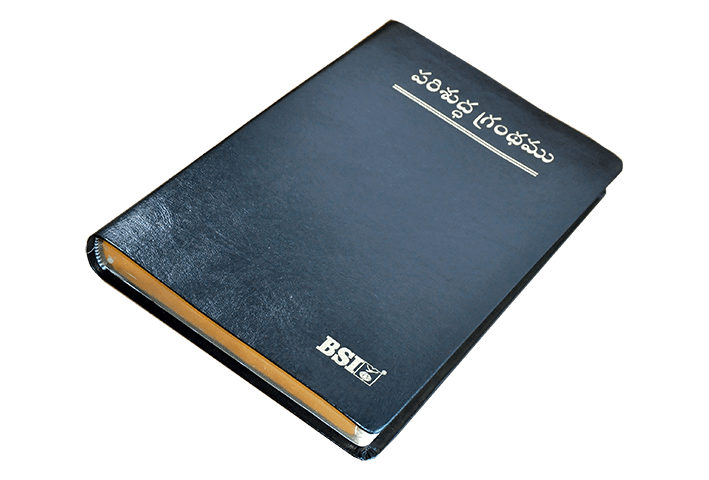 Telugu Bible Large Print product image (1)