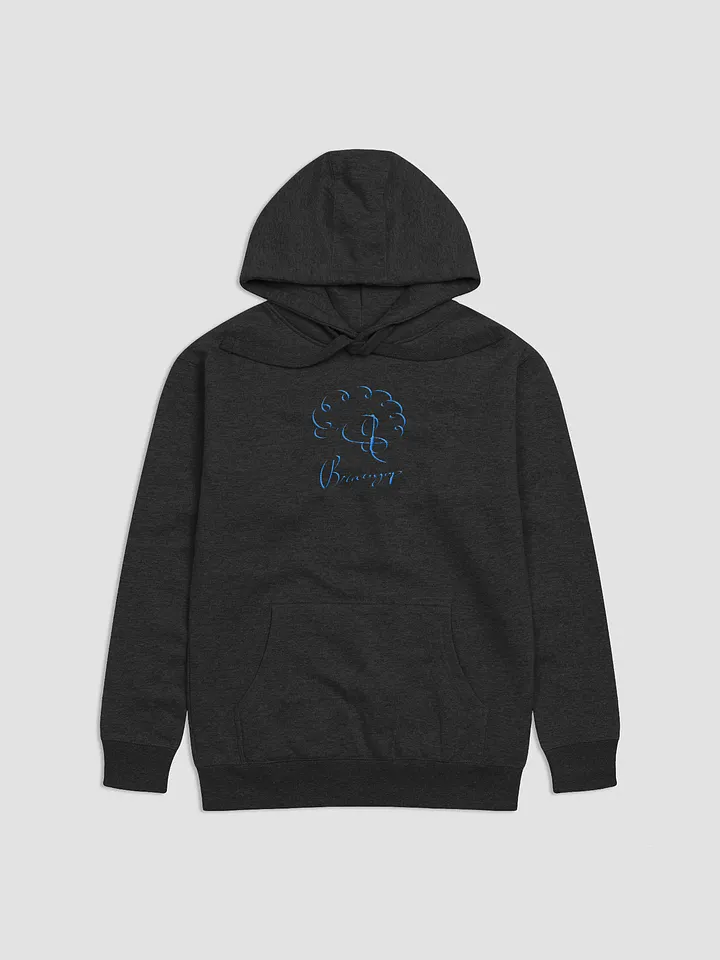EMBROIDERED SIGNATURE HOODIE (Blue Signature) product image (1)
