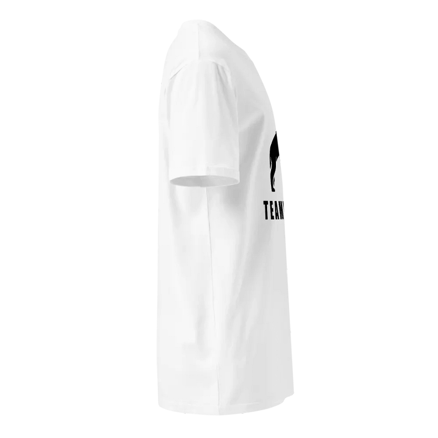 AS Colour 5001T Unisex Premium T-Shirt Teamwork product image (8)