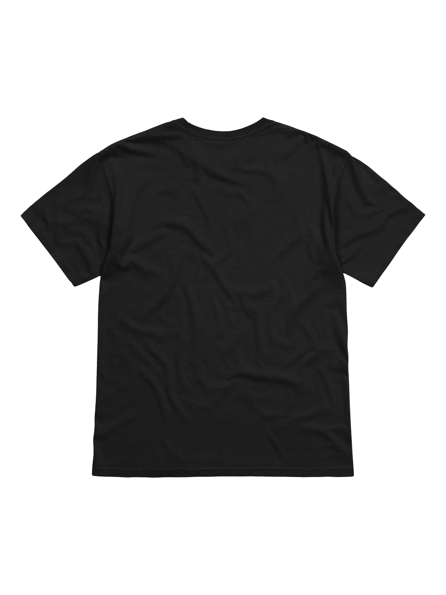 New DDN Logo T-Shirt (Full Color) product image (2)