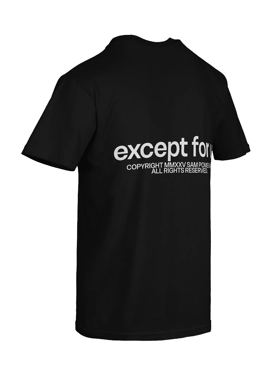 Except For Us Threshold Tee product image (8)