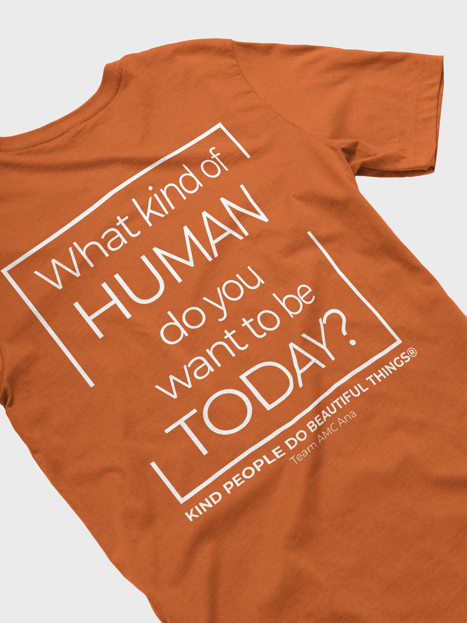 RESILIENT Human - Fall Shirt product image (37)