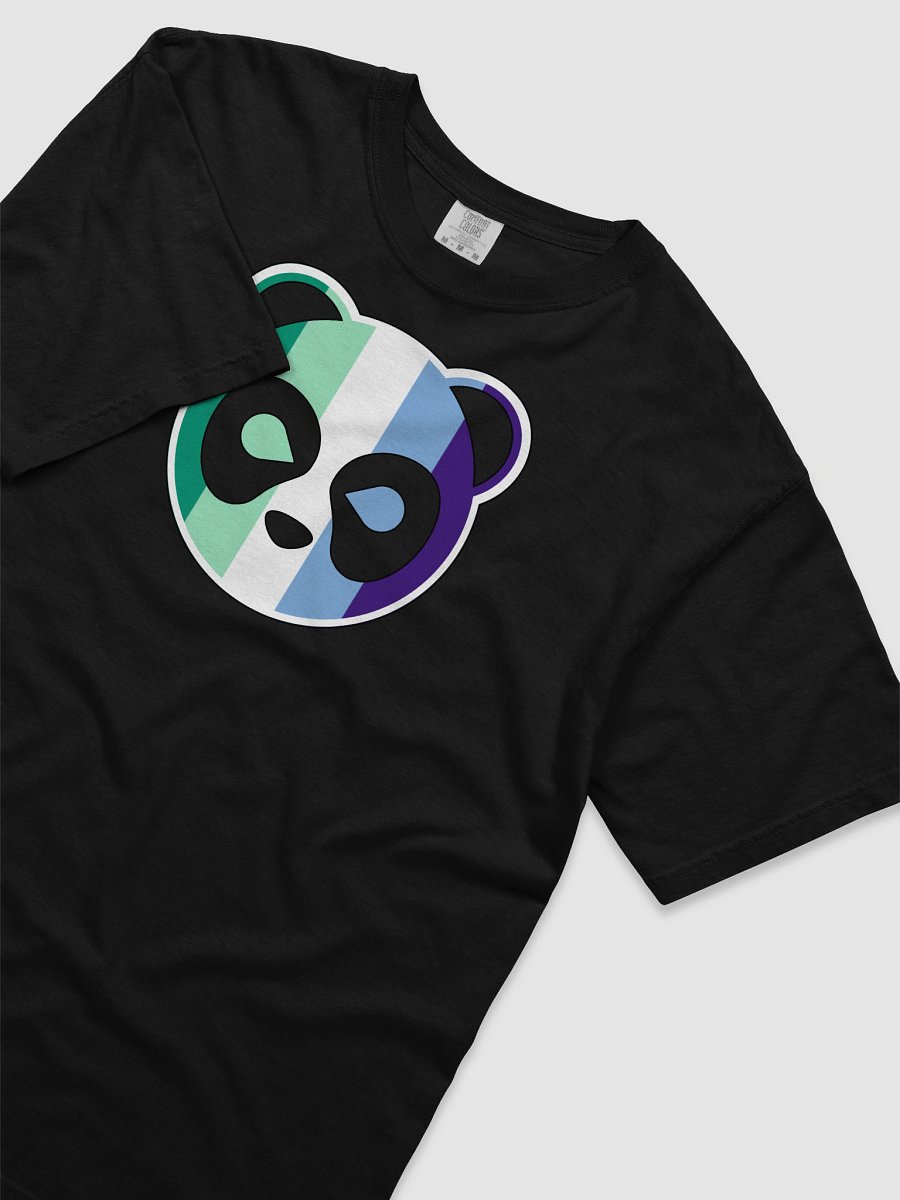 Achillean Pride Flag Panda Logo product image (9)
