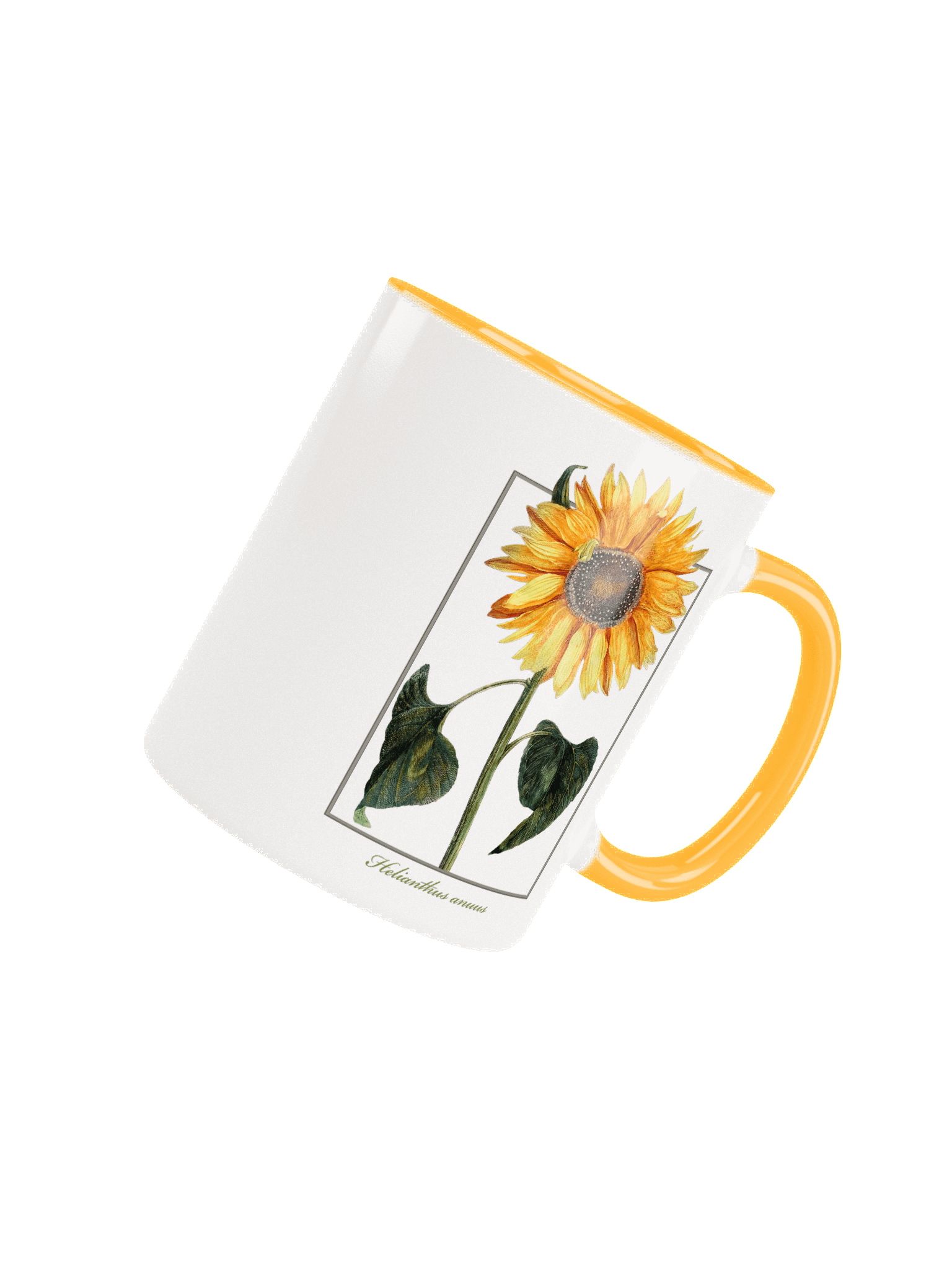 single sunflower (Helianthus anuus) - Ceramic Mug product image (4)