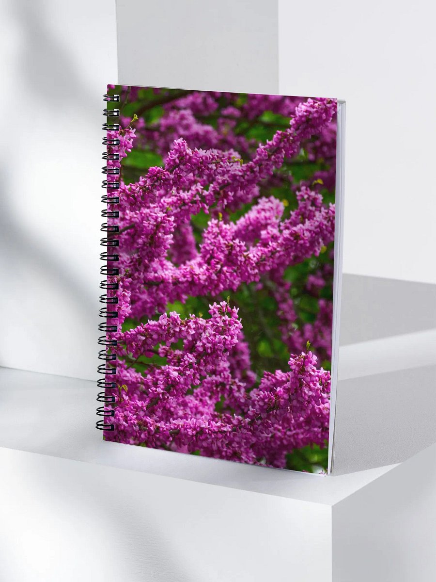 Journal product image (4)