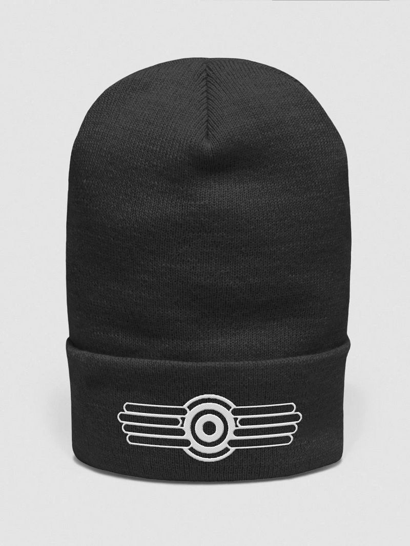 beanie for miguel