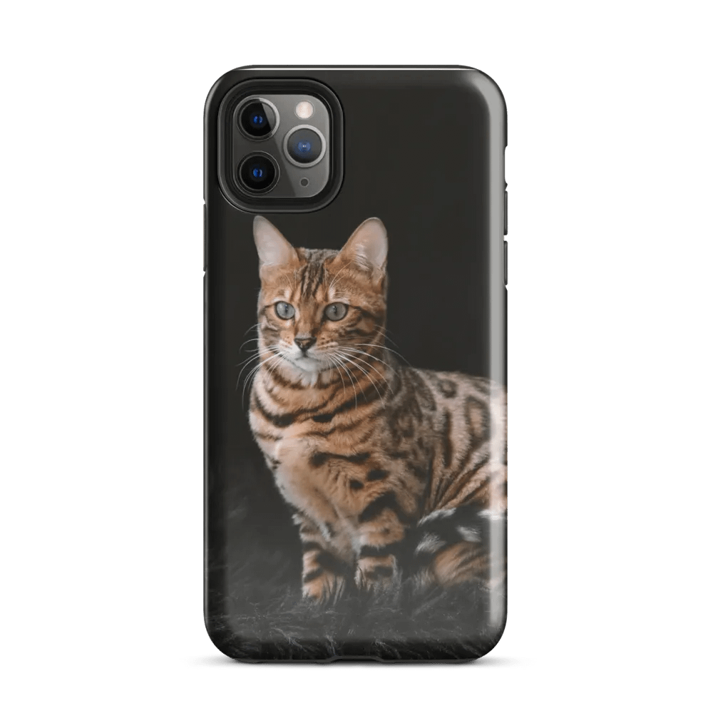 Lovely Kitty Phone Case: Style and Protection Combined product image (34)