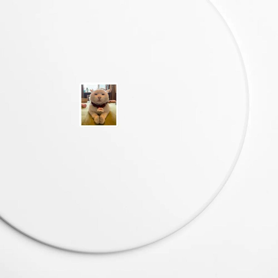 Pawsitively Adorable Cat Magnet product image (7)