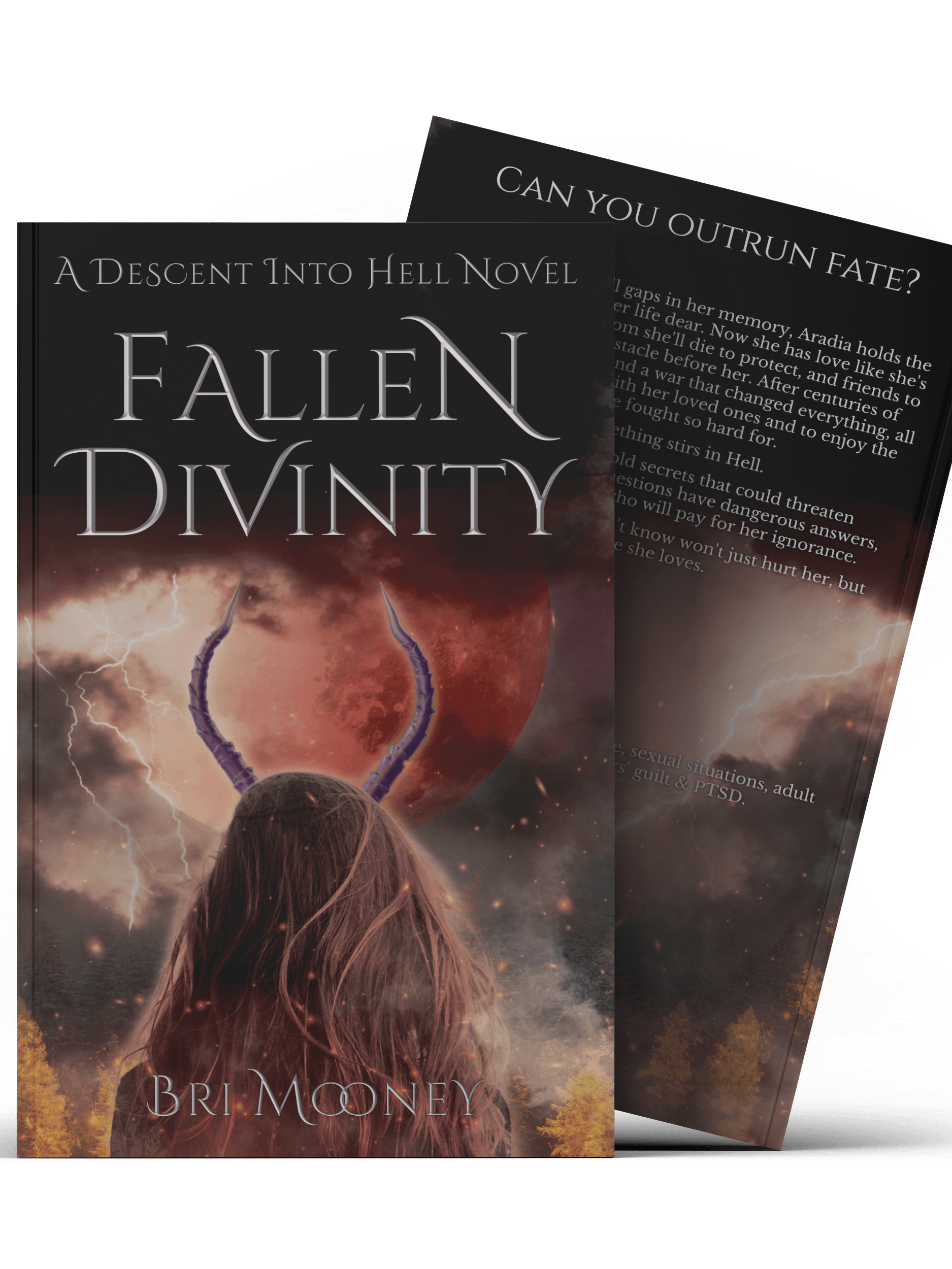 Fallen Divinity | Descent into Hell book 2 Paperback product image (2)