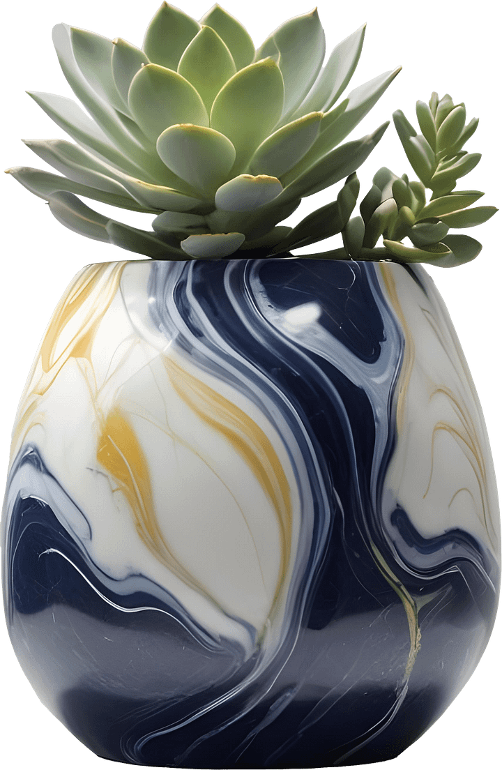 Golden Tides – Provence-Style Succulent Bowl PNG product image (1)