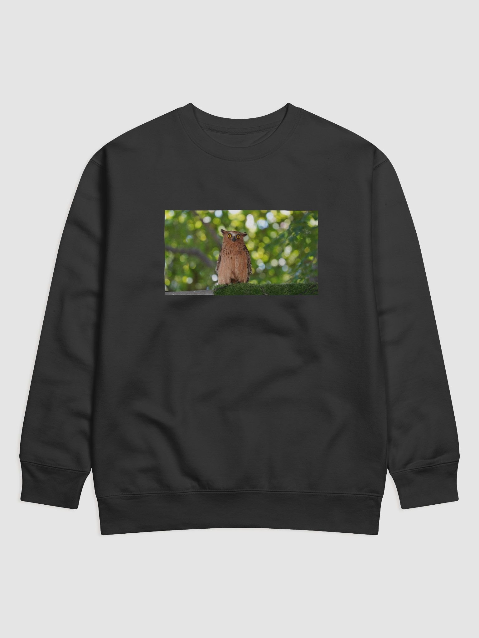 Mystic Owl Premium Sweatshirt product image (1)