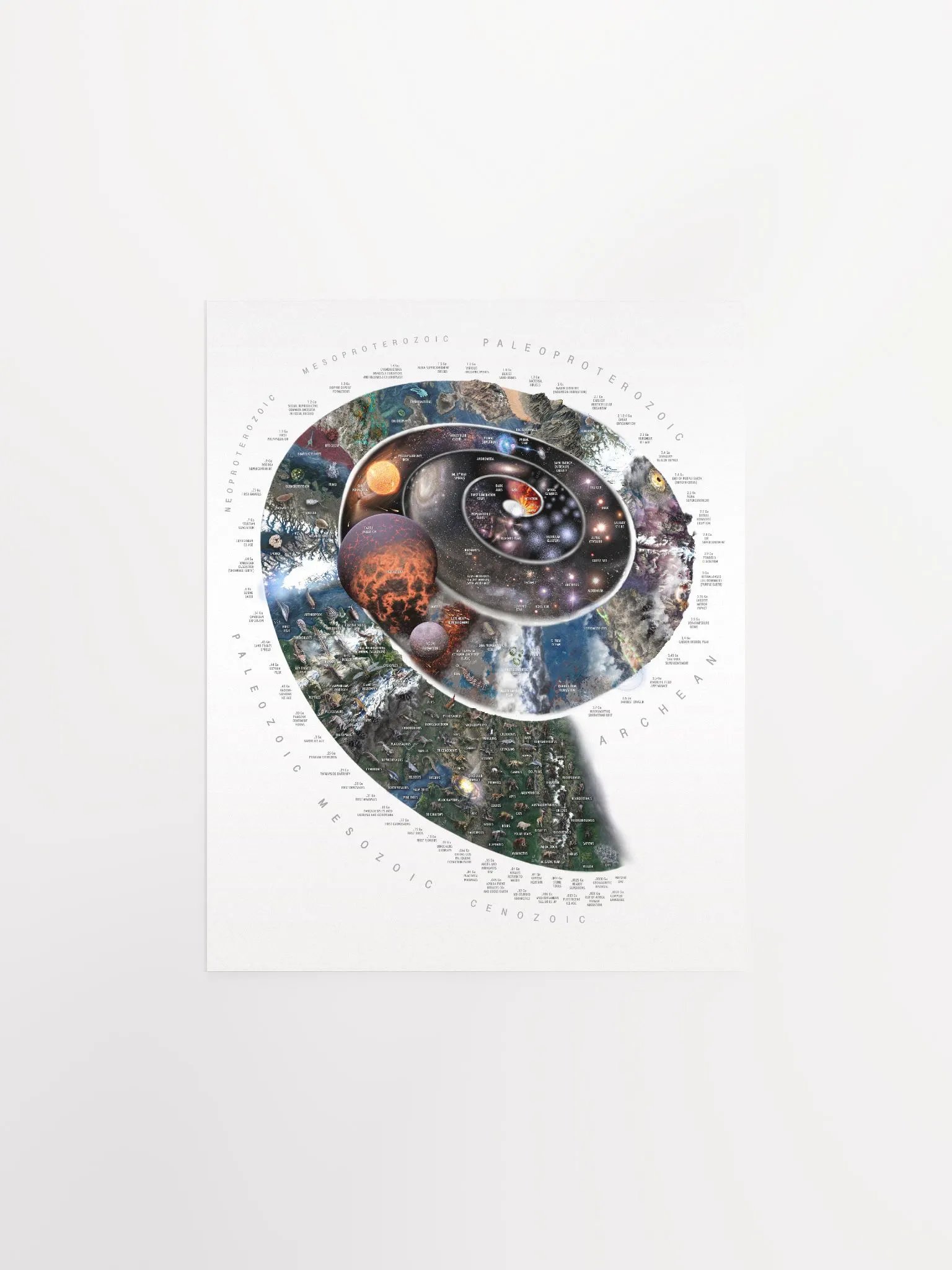 Nature Timespiral Big History infographic! product image (5)
