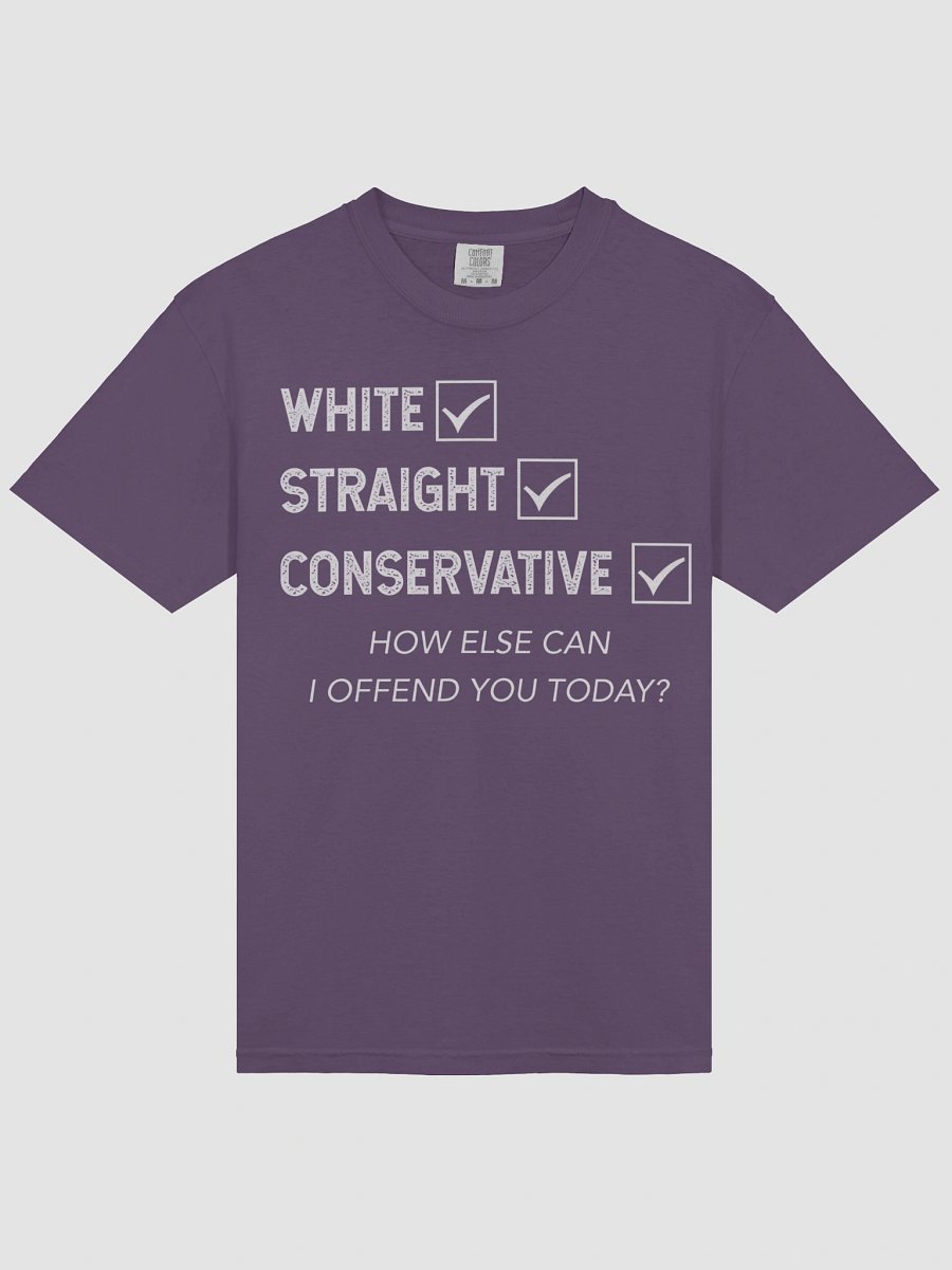 White Straight Conservative How Else Can I Offend You Today Shirt product image (3)