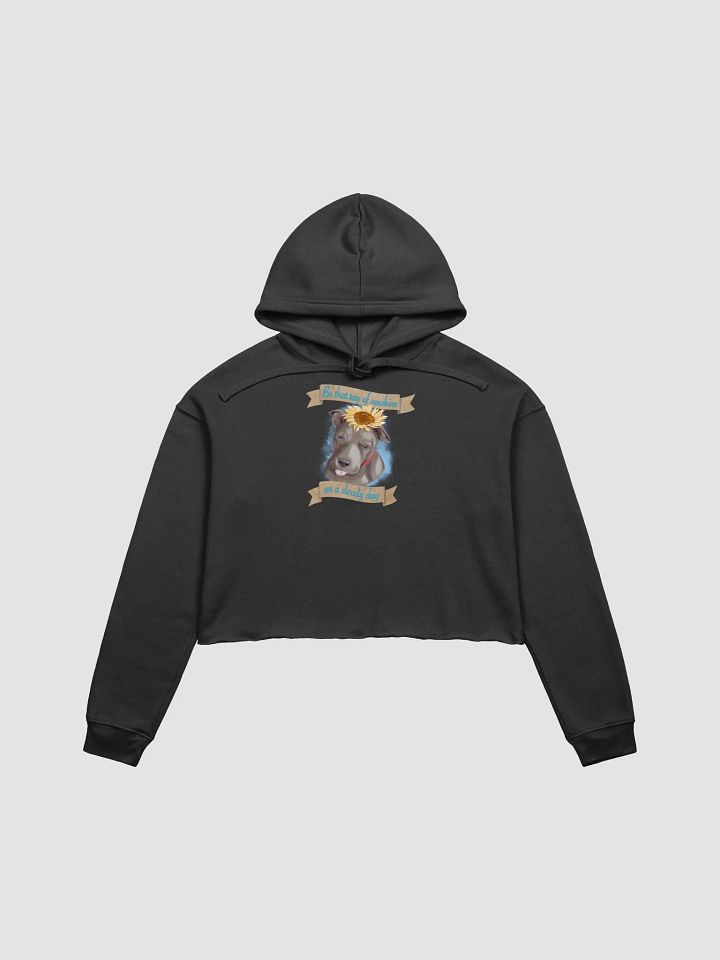 Sunny Cropped Hoodie product image (2)