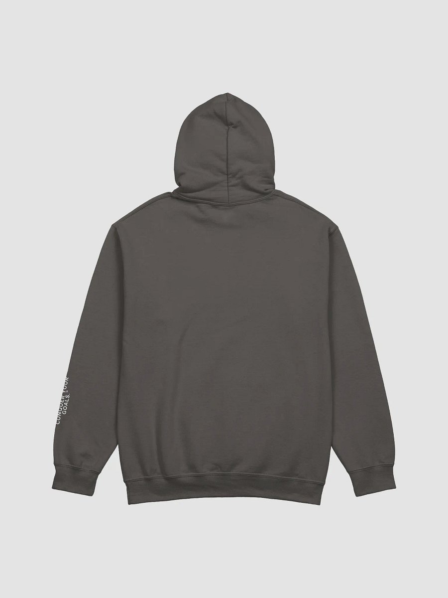 CTRL+VICTORY Hoodie product image (2)