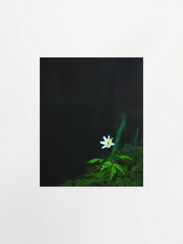 Alone in the dark product image (1)