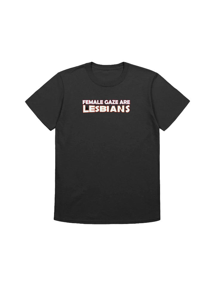 FEMALE GAZE ARE LESBIANS T-SHIRT product image (2)