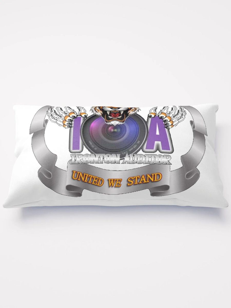 Ironton Auditor Pillow product image (2)