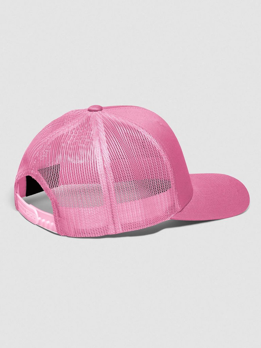 I <3 TITTIES AND BEER HAT PINK product image (3)