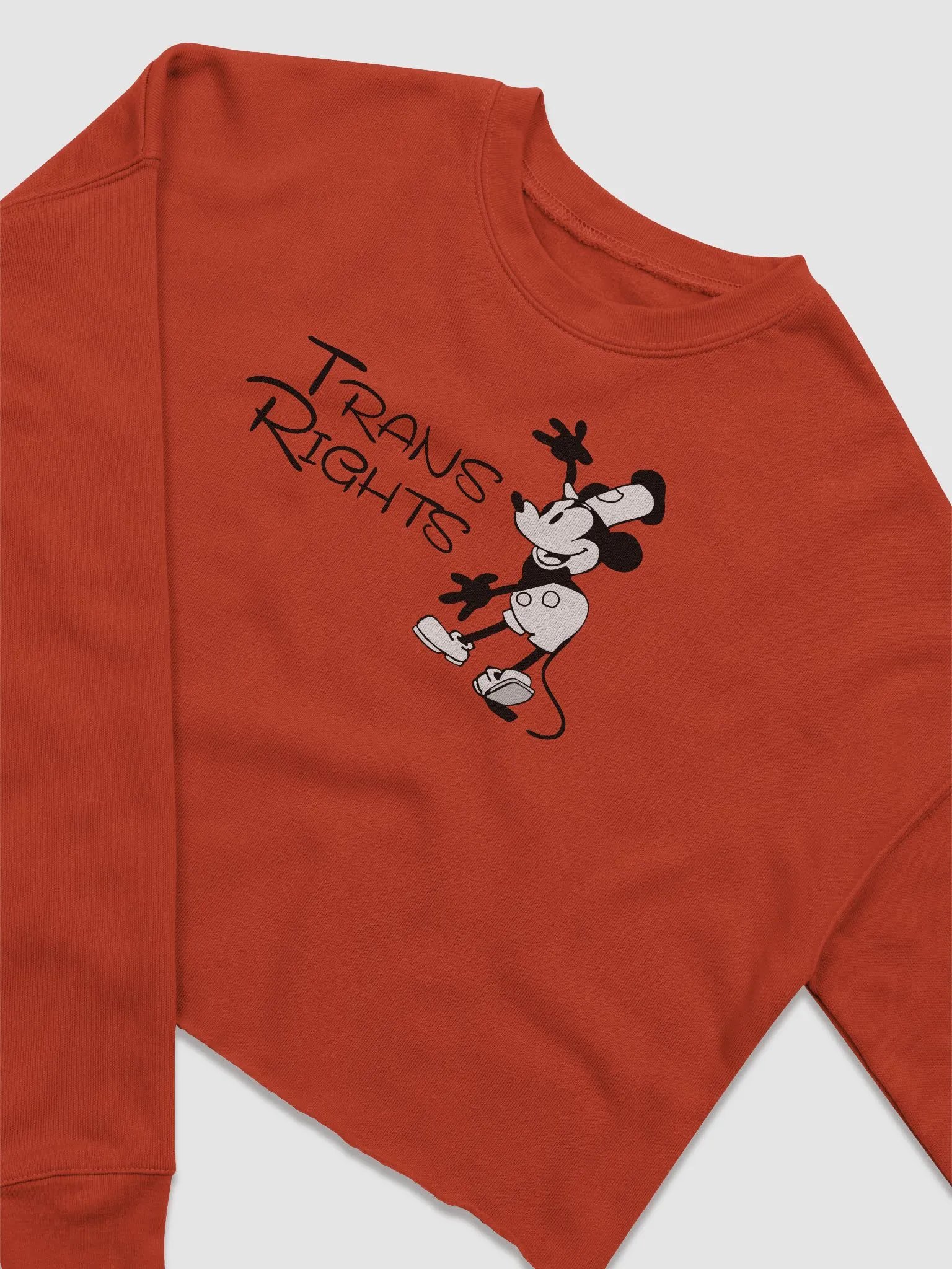 Steamboat Willie - Trans Rights Crop sweater product image (3)