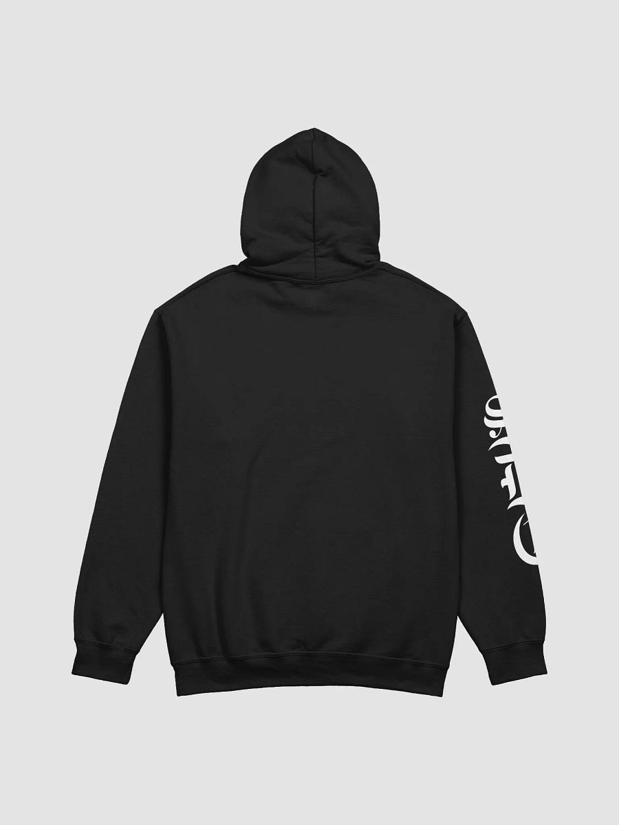 SDC Hoodie product image (3)