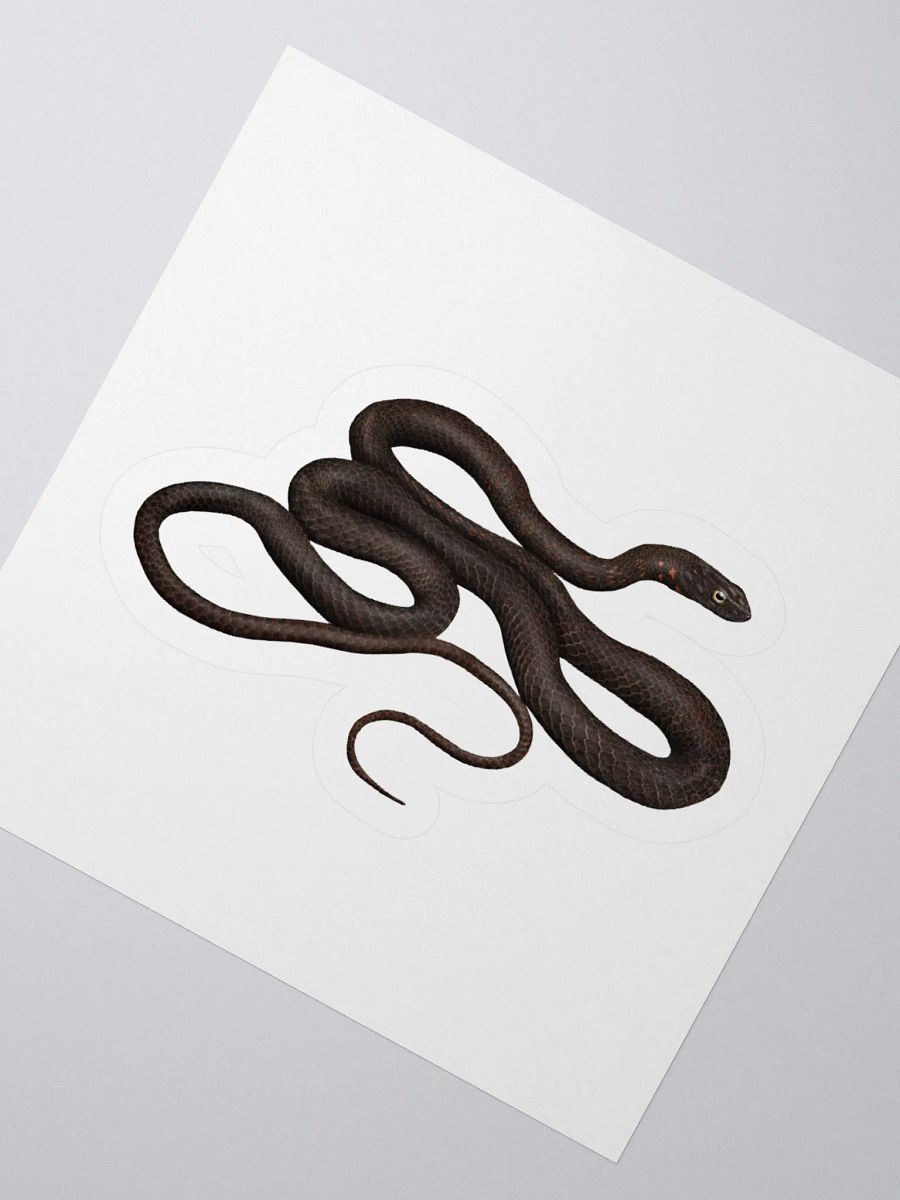 Die-Cut Sticker – Black Coachwhip product image (2)