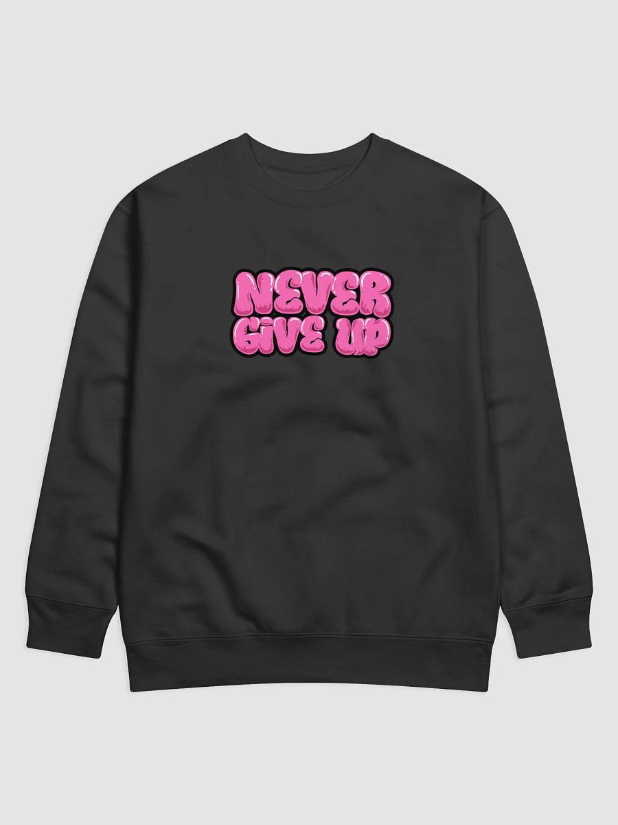Never Give Up Sweater💙 product image (1)