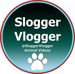 SloggerVlogger