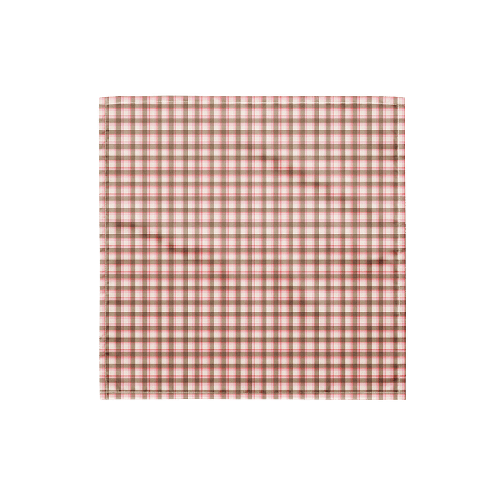 Prairie Check Bandana product image (1)