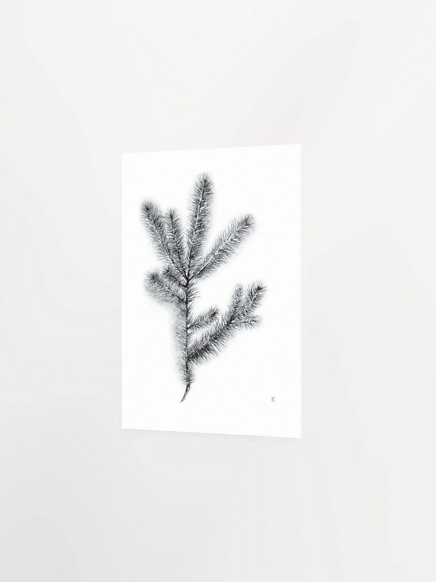Whimsical Coniferous Branch Poster - Spruce Branch product image (2)