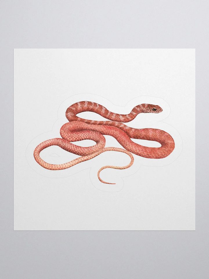 Die-Cut Sticker – Red Racer product image (1)