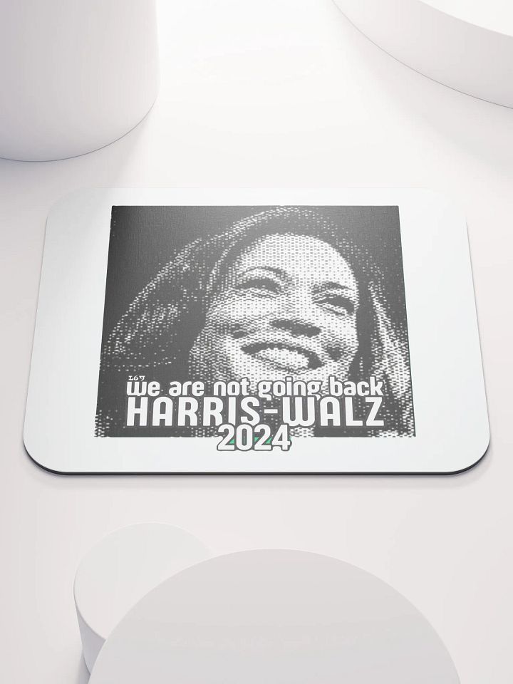HARRIS-WALZ 2024 WE ARE NOT GOING BACK product image (1)