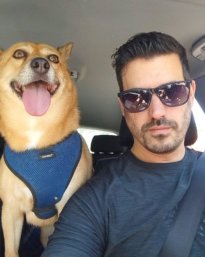 Another Sunday walk #nofilter #dogs #walks #sunnyvibes