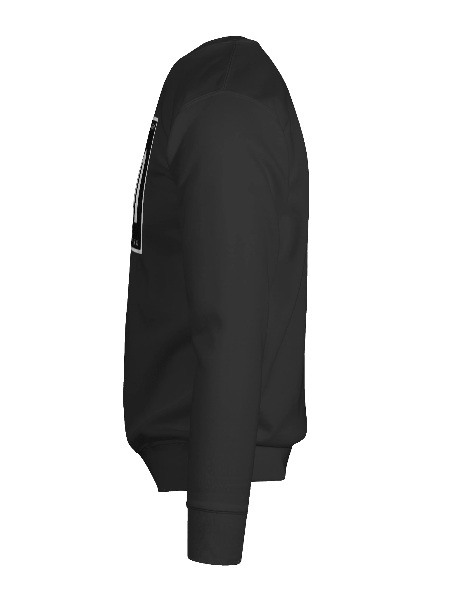 Manhattan Element : Sweatshirt product image (9)