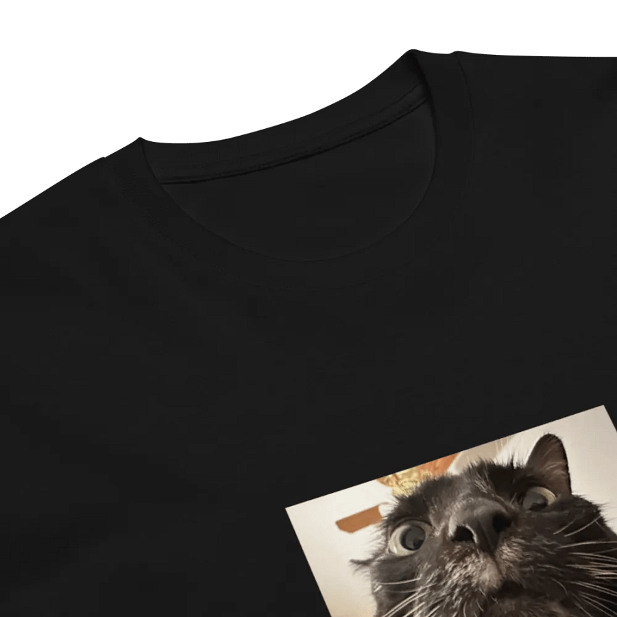 Whiskers on Fleek - Zahra - Tee Shirt product image (7)