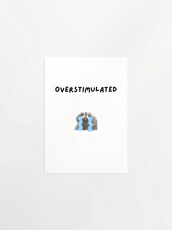 Overstimulated - Raccoon Poster product image (2)