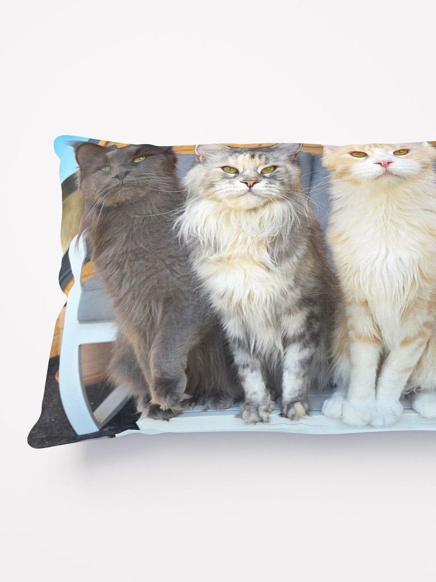 4 Generations - Pillow product image (3)