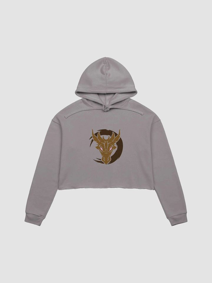 Crop Hoodie - Aerinda Karasha product image (17)