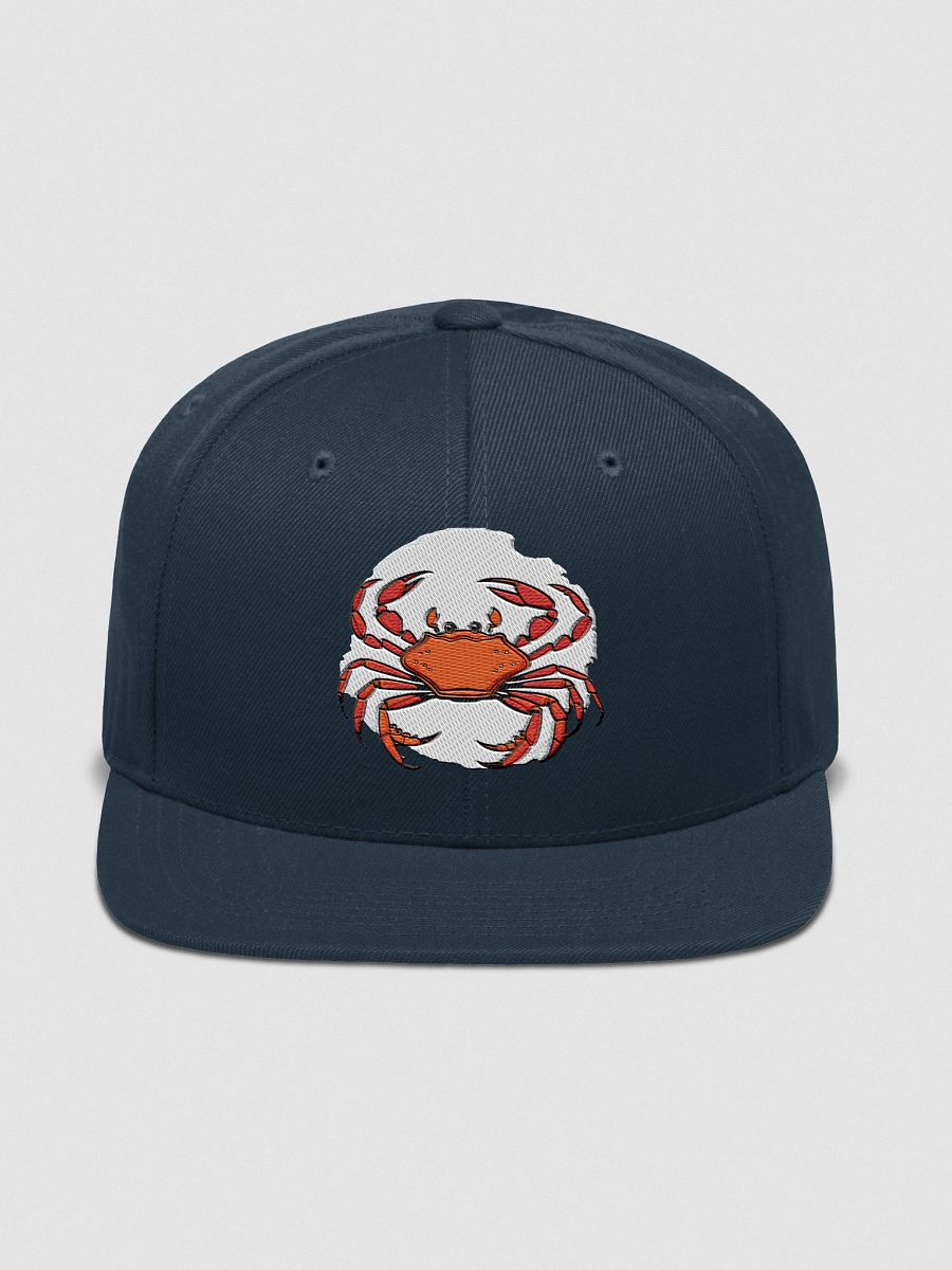 Claws & Color Snapback Cap product image (4)