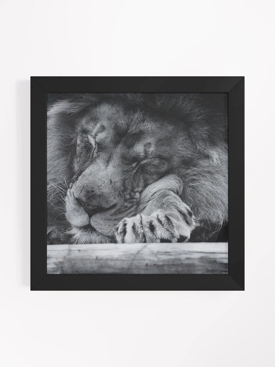 The Sleeping King product image (6)